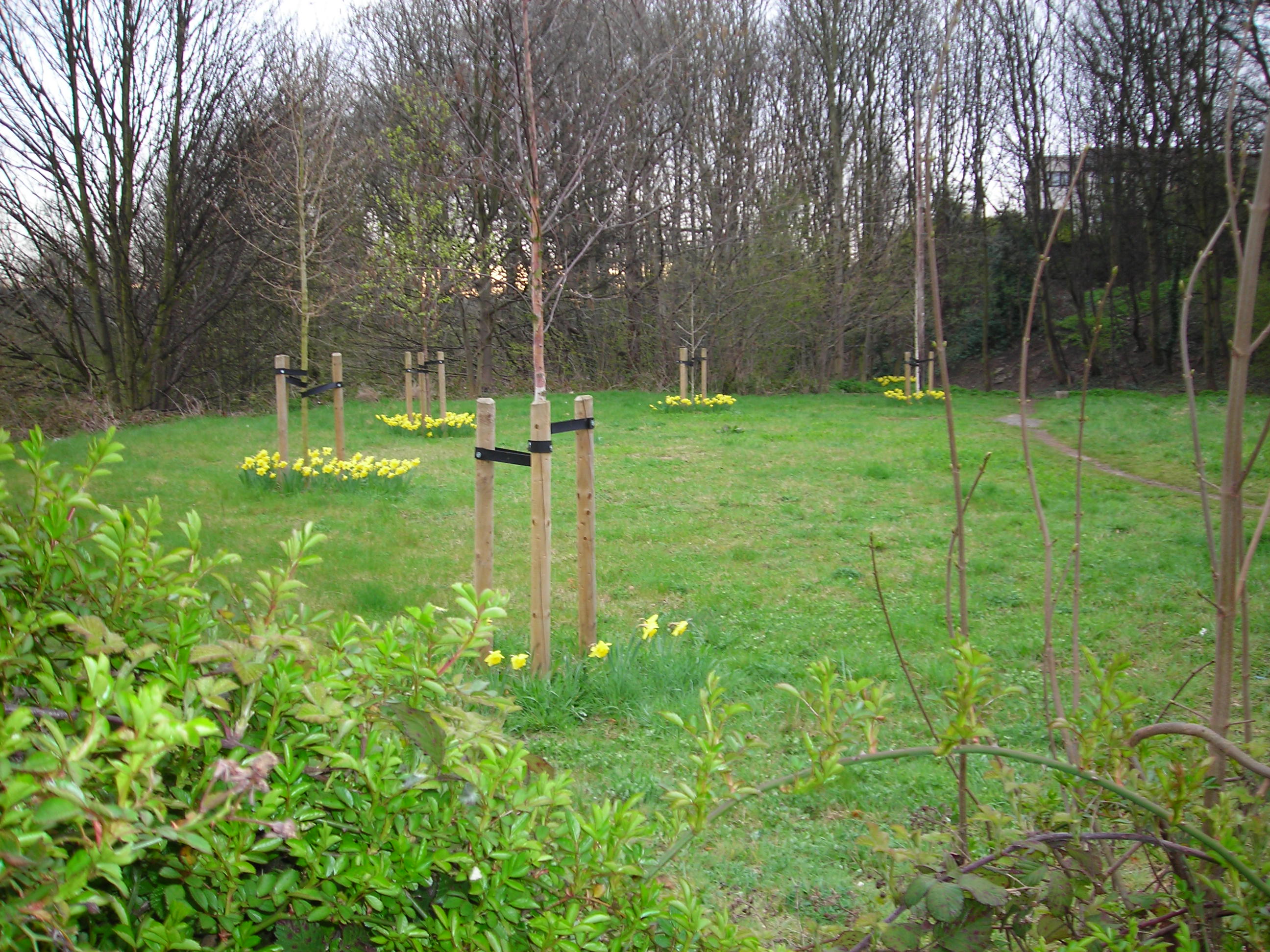 Lady Croft Meadow, off St. Mary's Lane, Ecclesfield
