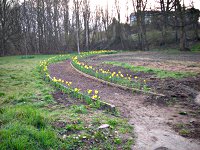 LadyCroft Meadow in Spring 2011
