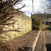 LadyCroft Meadow in Spring 2011