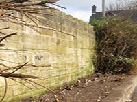 LadyCroft Meadow in Spring 2011